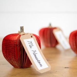 Paper Apple - Teacher 3D Gift-Book - Red Apple